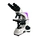 VB-500 Biological  Microscope